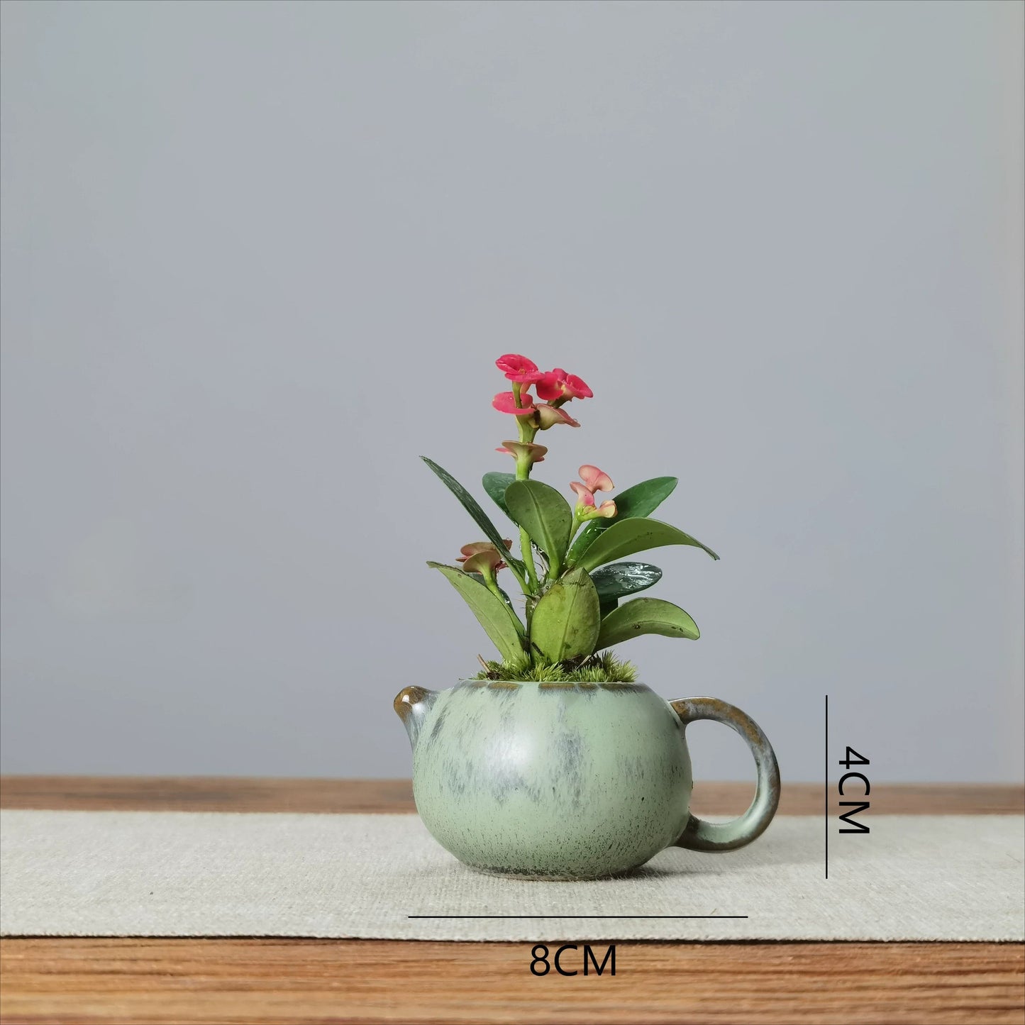 Mini Flower Pot for Tiger Thorn Plum/Mini Indoor Plants