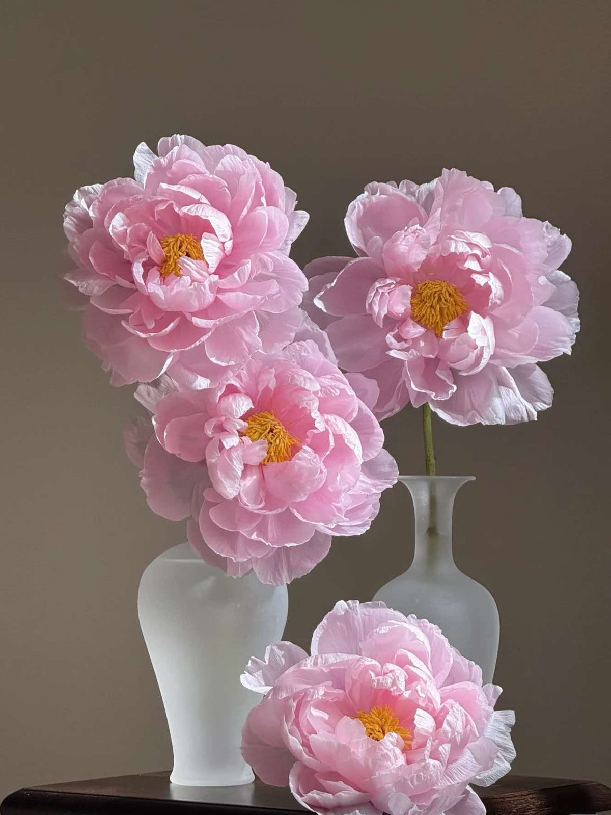 The Beauty of the Peony